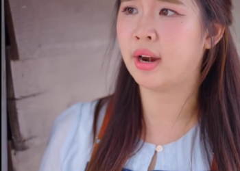T2512004 แมวว งเล นร านอาหารก อกวนล กค จนทำให กค าไม เข าร าน part 2